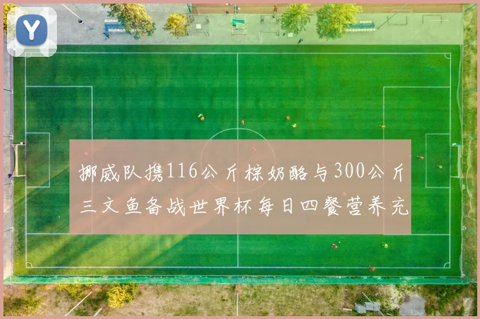 挪威队携116公斤棕奶酪与300公斤三文鱼备战世界杯每日四餐营养充足