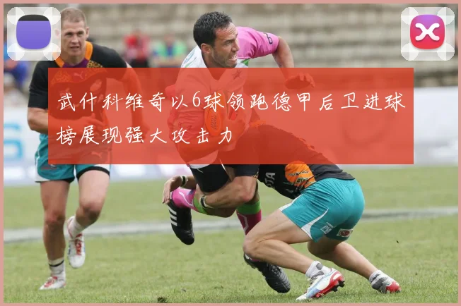 武什科维奇以6球领跑德甲后卫进球榜展现强大攻击力